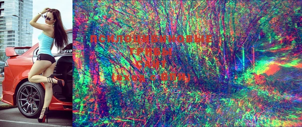 винт Кодинск