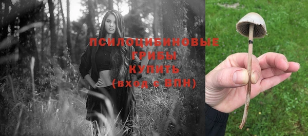меф VHQ Козловка