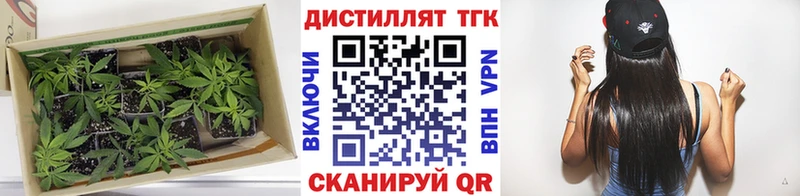 ТГК THC oil  Купить  Грайворон 